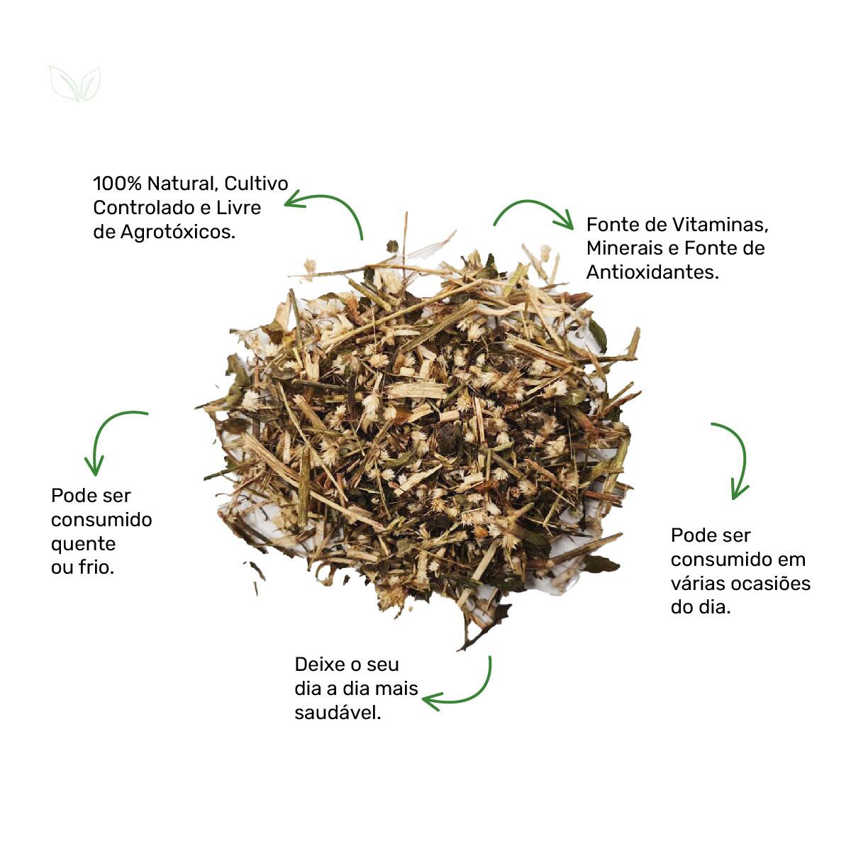 Chá de Terramicina Alternanthera brasiliana A Granel - de R$16,14 a R ...
