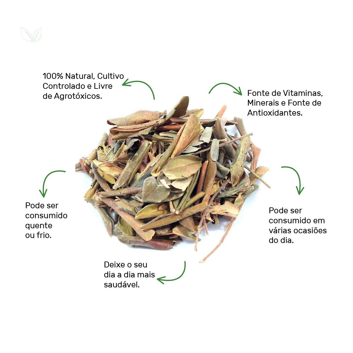 Comprar Chá de Jaborandi Pilocarpus Microphyllus Staf A Granel - de R$11,69  a R$139,49 - Natural do Povo