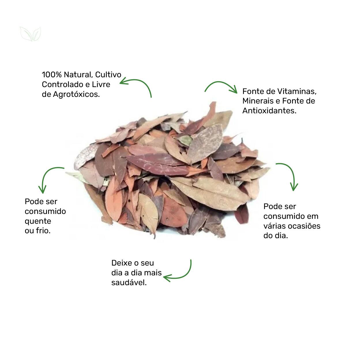 Chá de Pedra Ume Caá Myrcia Sphaerocarpa D.C. A Granel - de R$18,04 a R