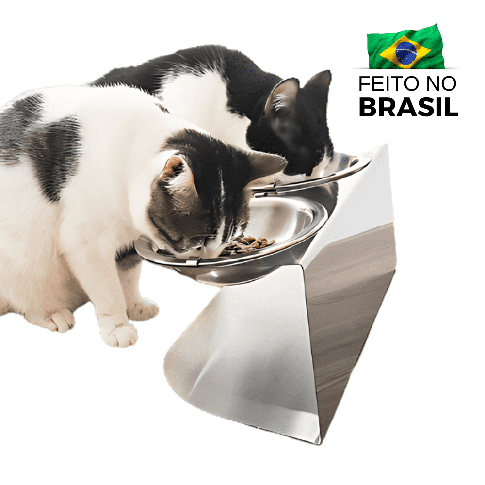 Comedouro Inox Elevado para Gatos Mais Recomendado do Brasil