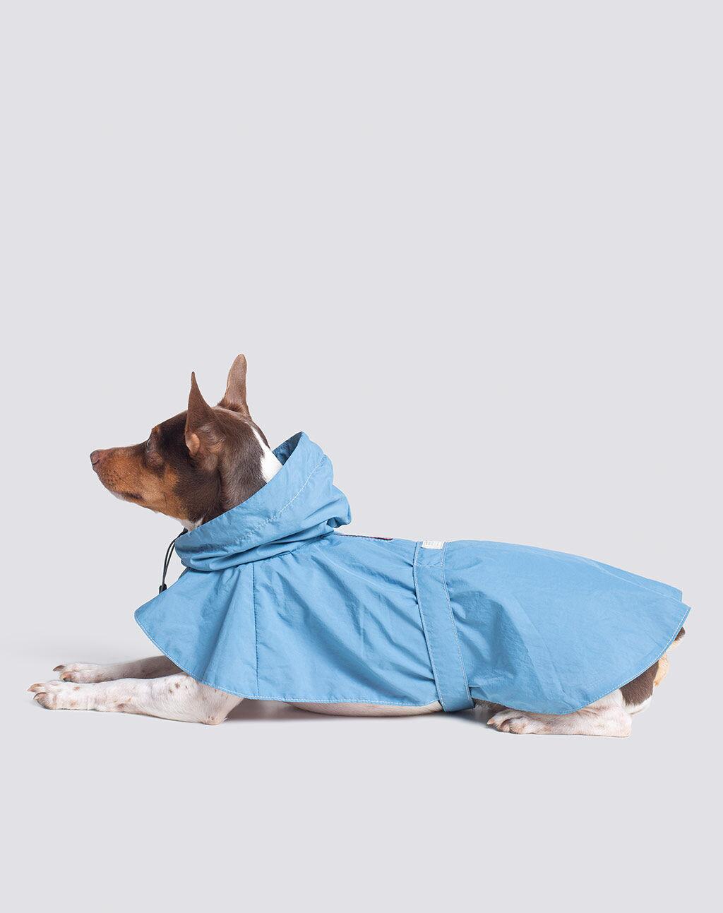 Comprar WINDBREAKER REGATTA DOG R198,00 Pineapple Brand