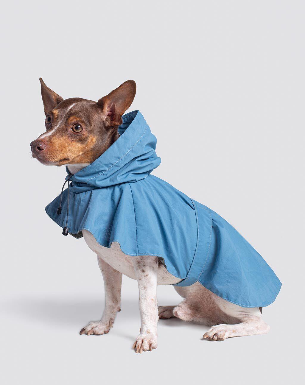 Comprar WINDBREAKER REGATTA DOG R198,00 Pineapple Brand