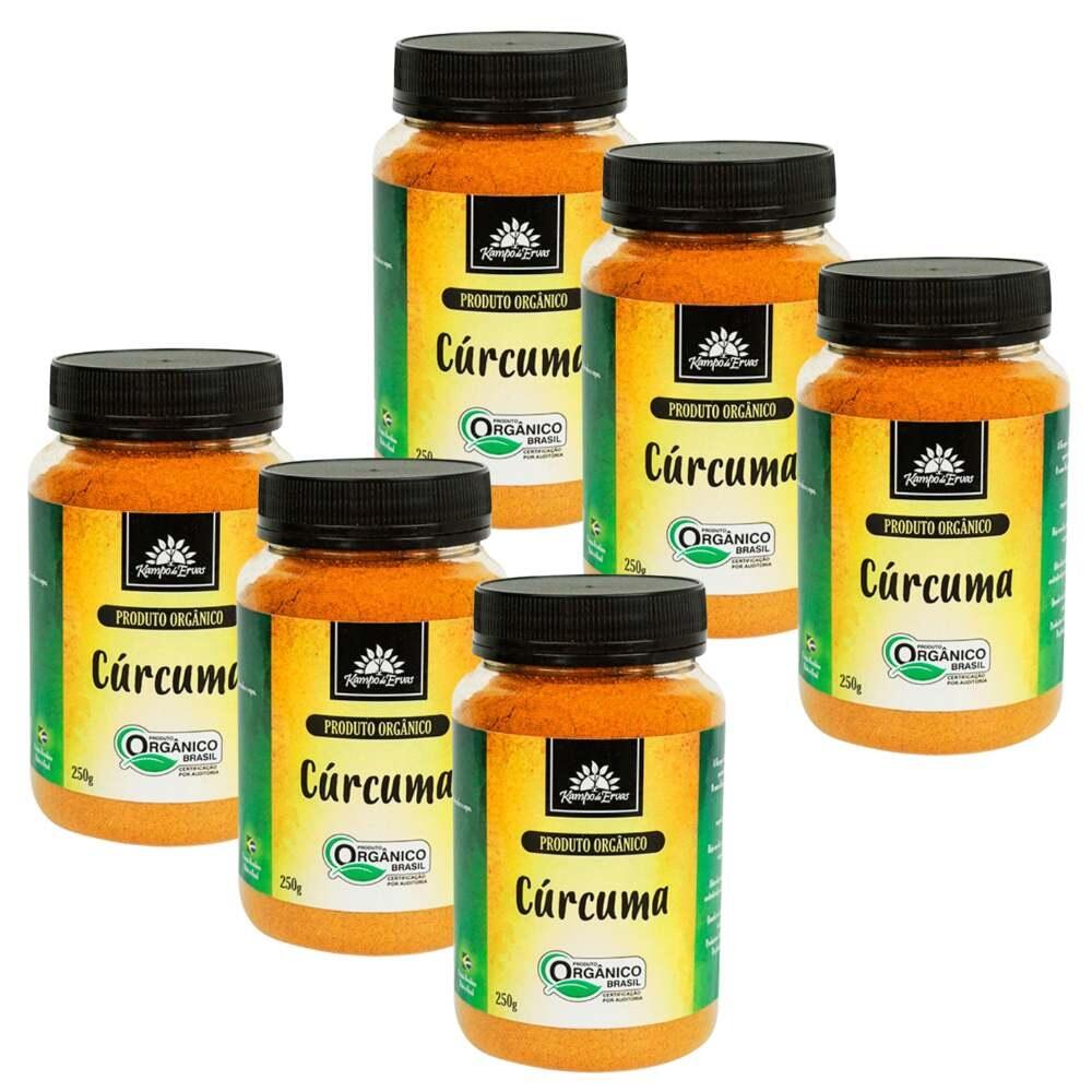 Comprar Kit 6 Cúrcuma Longa Pura Orgânica Sem amido Kampo de Ervas