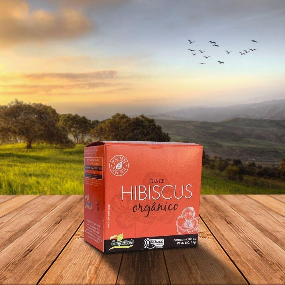 Comprar Kit Hibiscus Chá Orgânico de Hibisco 10 sachês por cx