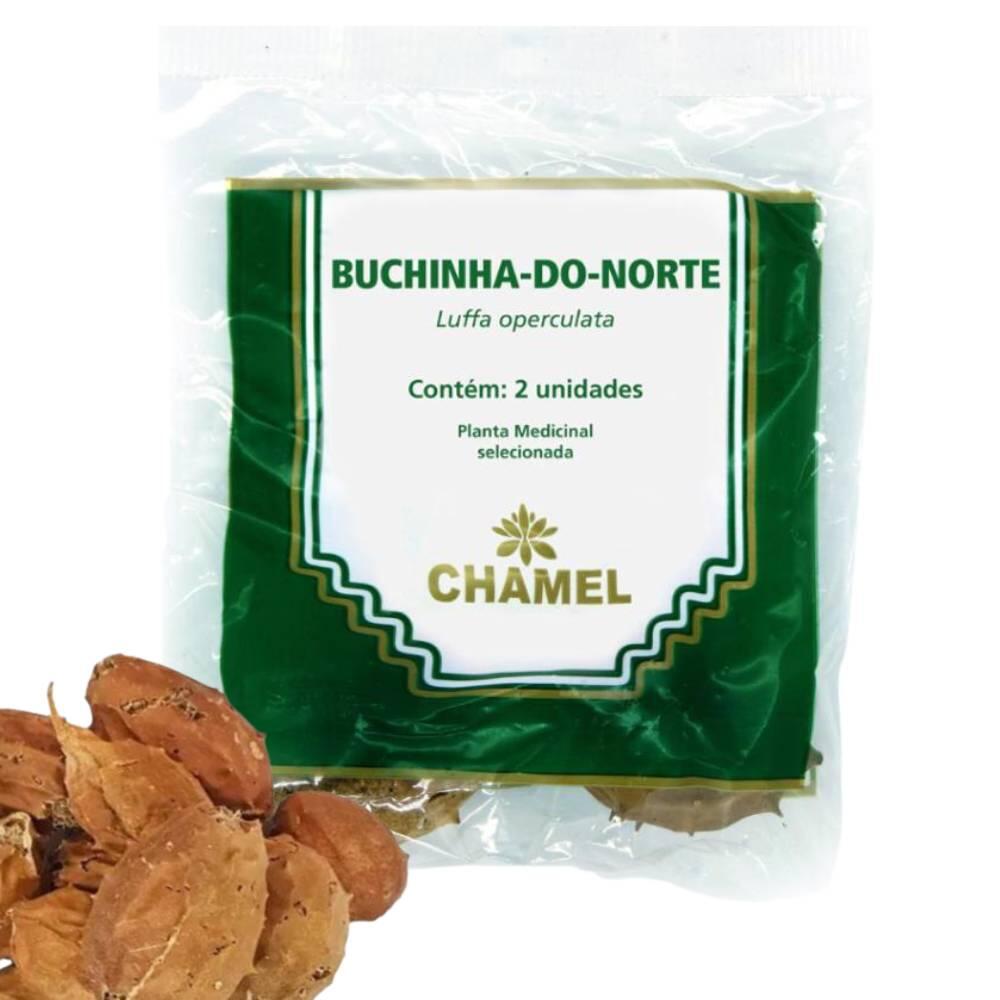 Comprar Buchinha do Norte Verdadeira Luffa Operculata Natural 2 unid Chamel