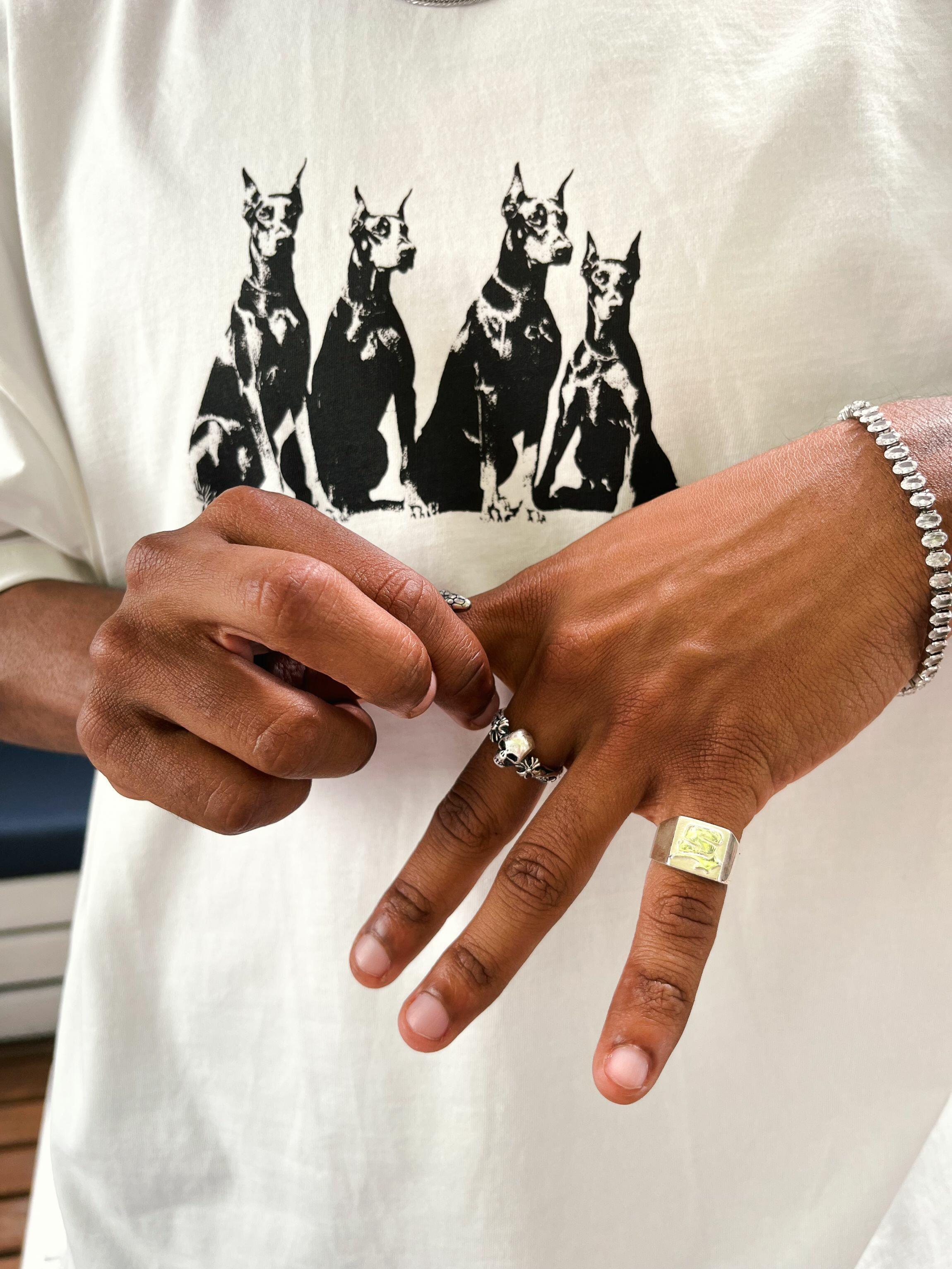 スローブイエナ MIXTA GUARD DOG TEE Comprar Camiseta Boxy Guard Dogs - R$87,03