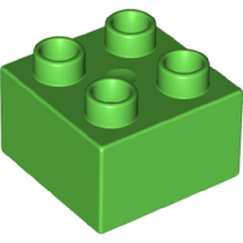 Lego DUPLO Tijolo 2x2  - Verde Brilhante - PN 3437 / 17556 / 20678 / CN 4168579 / 4583789