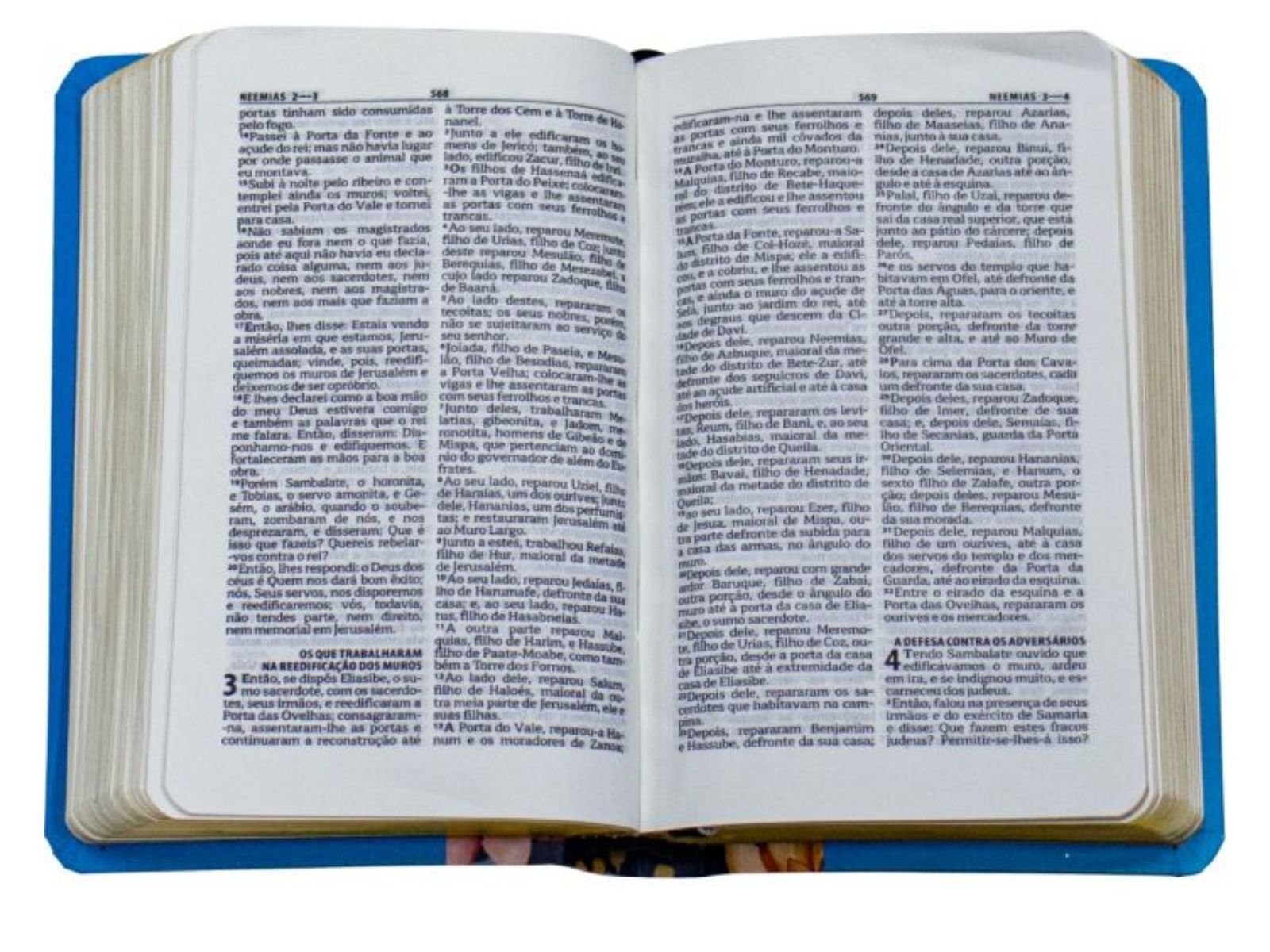 Comprar Bíblia Sagrada | ARA | Edição de Bolso | Capa Flores Azul -  Livraria Cordeiro, image size:1600x1200