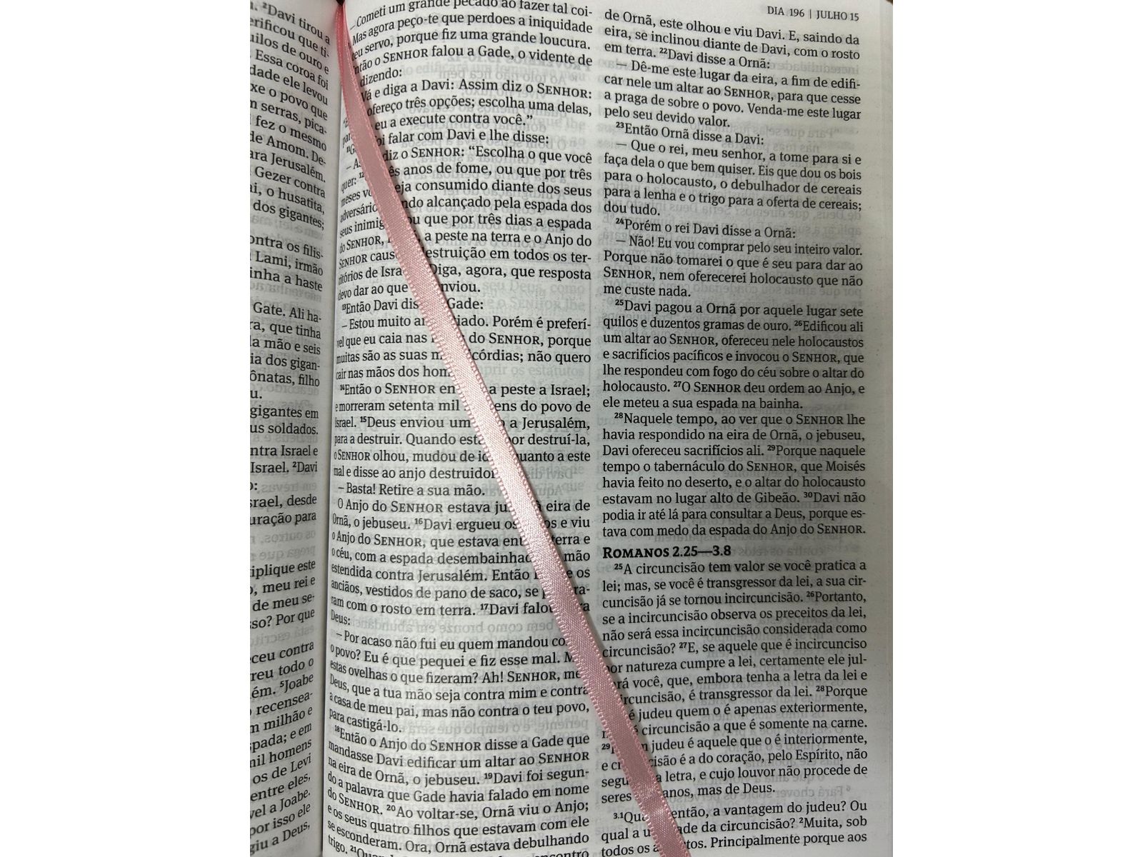 Comprar Bíblia 365 | NAA | A Palavra de Deus em Leituras Diárias | Capa  Dura Rosa - a partir de R$68,34 - Livraria Cordeiro, image size:1600x1200