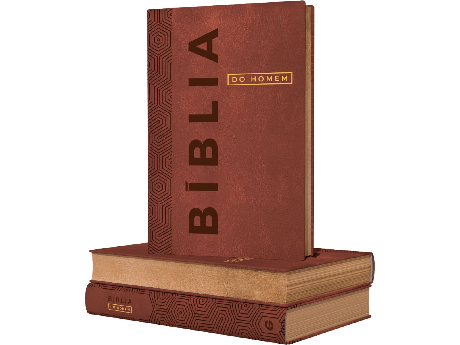 Comprar Bíblia Devocional Do Homem | NVI | Letra Grande | Capa Luxo Marrom