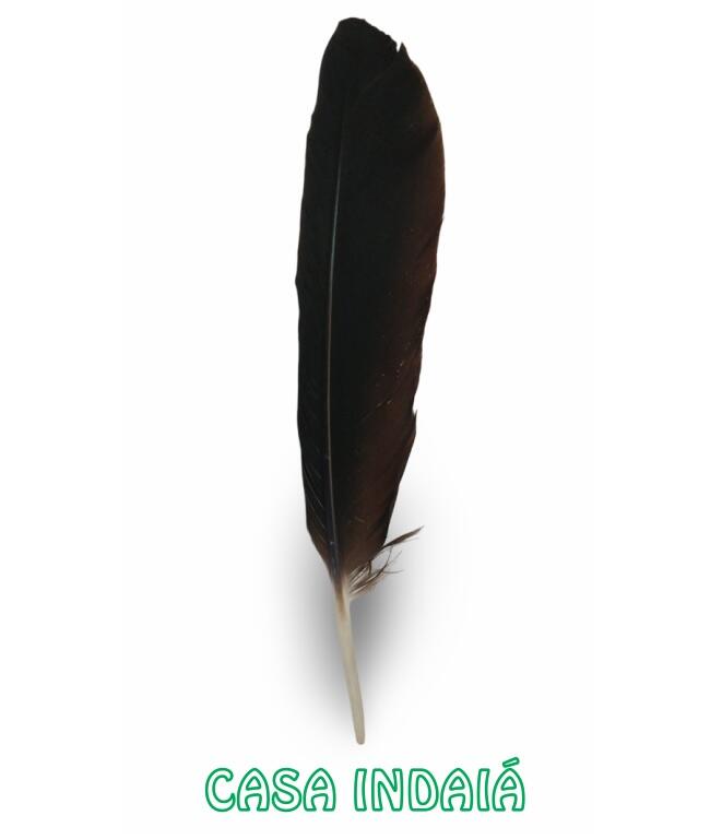 Comprar Pena de Urubu - R$9,90