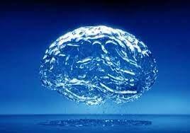 Quais os benefcios da gua para o crebro?