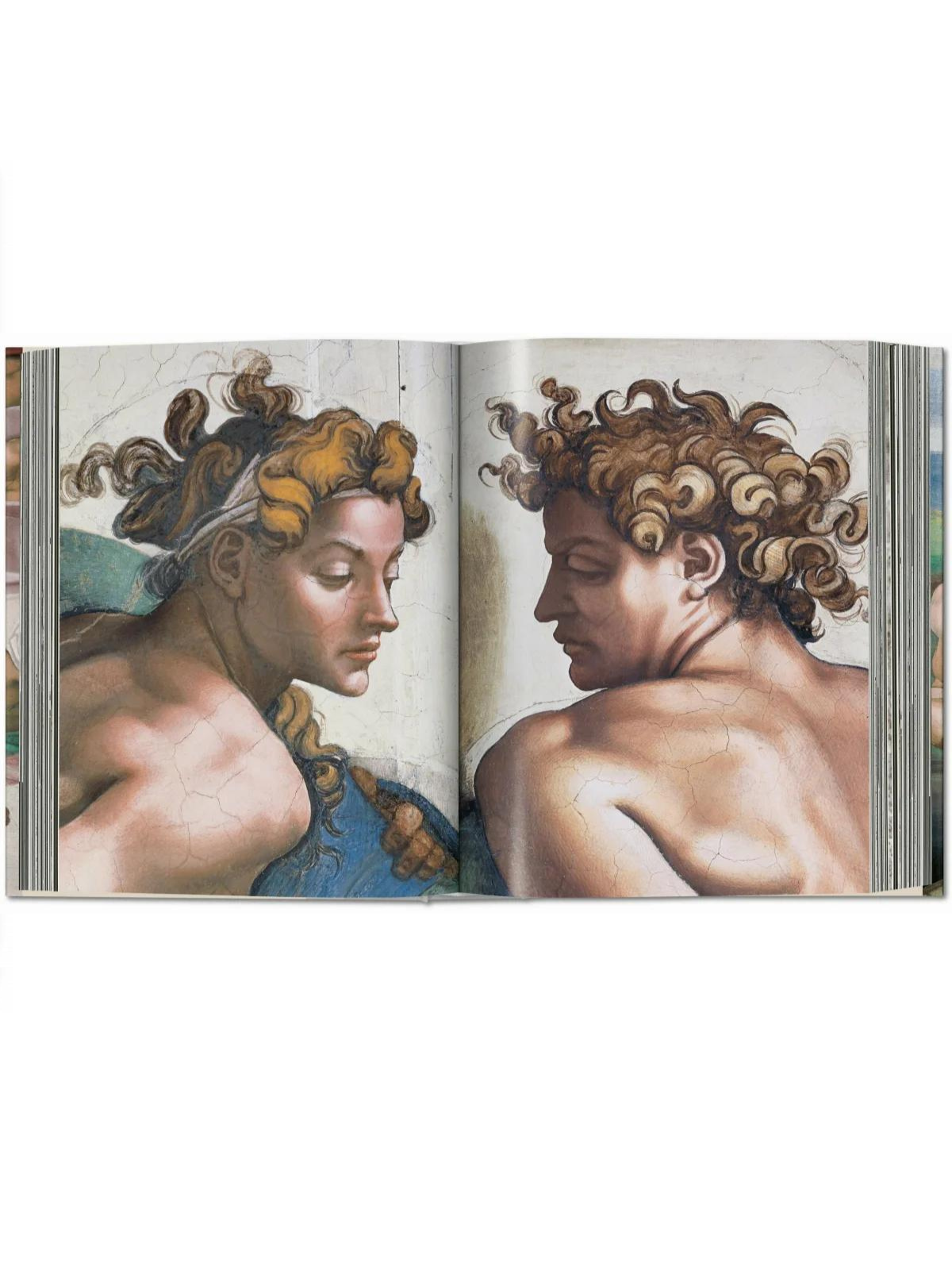 Comprar Michelangelo. the Complete Works XL - R$1.899,00