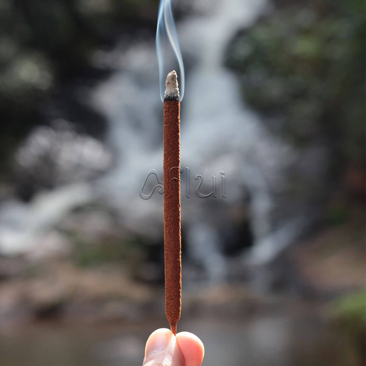 Incenso Natural De Canela Fênix Transformação A Partir De R 22 21