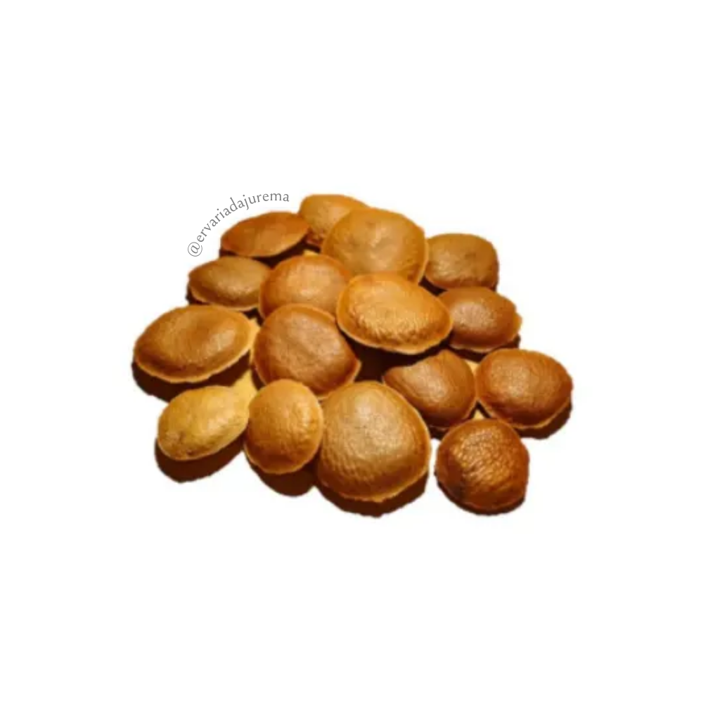 Comprar Sementes de Sucupira - Ervaria da Jurema