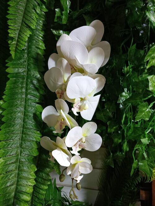 Comprar Orquídea De Silicone Artificial Branca Com Verde Claro - Qx Flores  - Casa Bonita Utilidades | Montes Claros