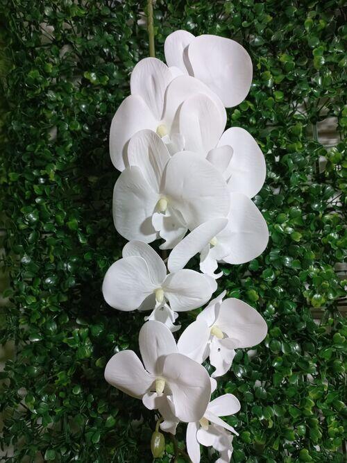 Comprar Orquídea De Silicone Artificial Branco Tradicional - Qx Flores -  Casa Bonita Utilidades | Montes Claros