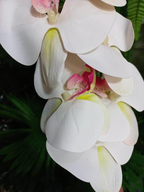 Comprar Orquídea De Silicone Artificial Branca Com Miolo Rosa - Qx Flores -  Casa Bonita Utilidades | Montes Claros
