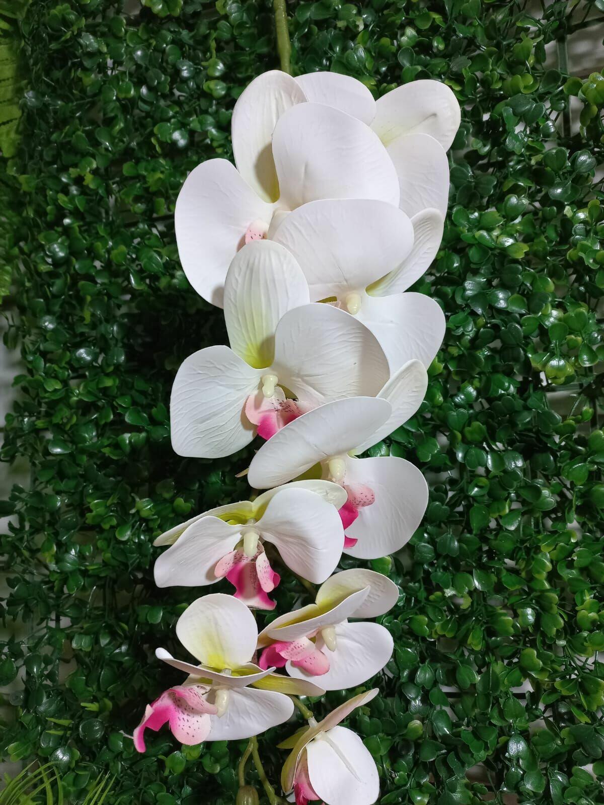 Comprar Orquídea De Silicone Artificial Branca Com Miolo Rosa - Qx Flores -  Casa Bonita Utilidades | Montes Claros