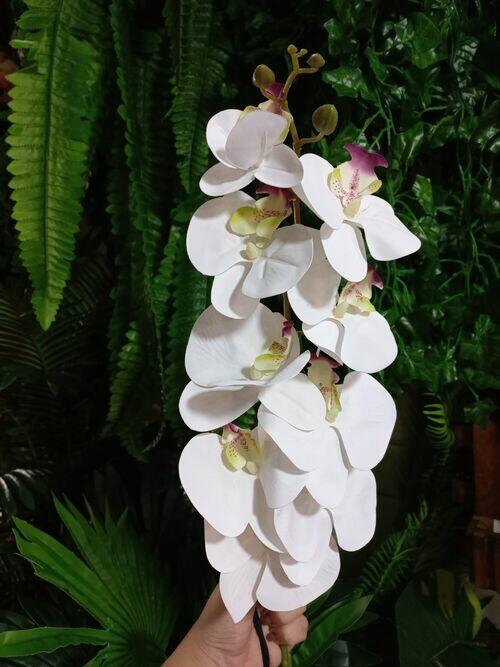 Comprar Orquídea De Silicone Artificial Branca Miolo Roxo E Verde - Qx  Flores - Casa Bonita Utilidades | Montes Claros