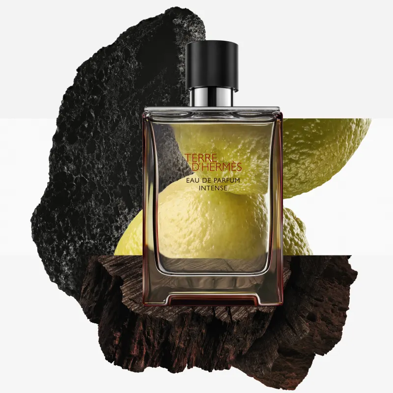 Comprar Terre D Hermes Eau Intense - a partir de R$650,07