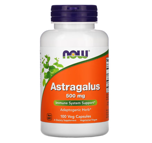 Astragalus 500 mg - Now Foods - 100 cpsulas
