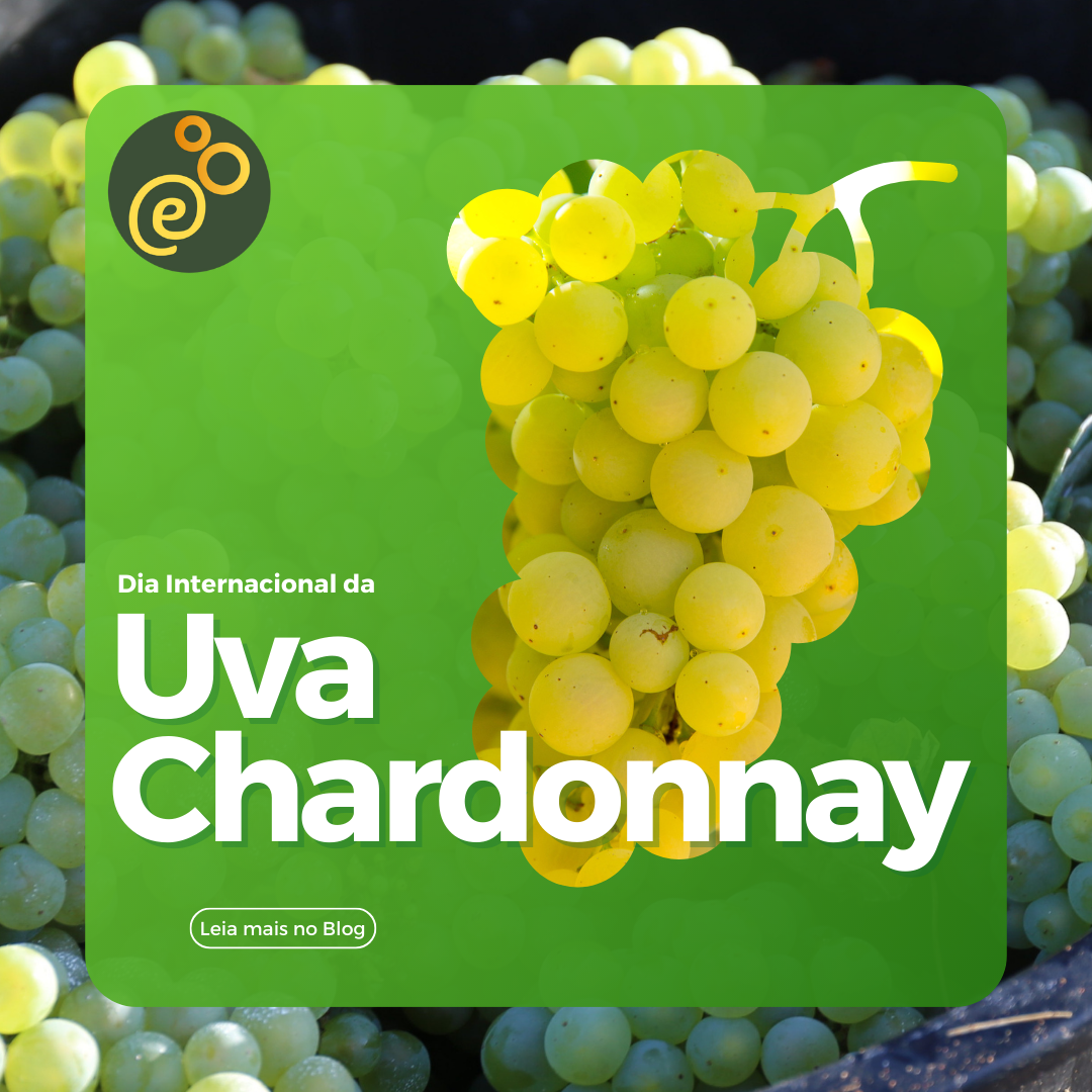 Chardonnay: Tudo sobre a uva