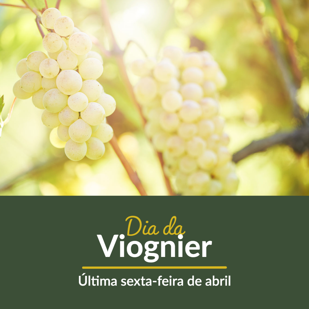 Descubra o Viognier: a uva francesa que conquistou o mundo e saiba como harmonizá-la com perfeição