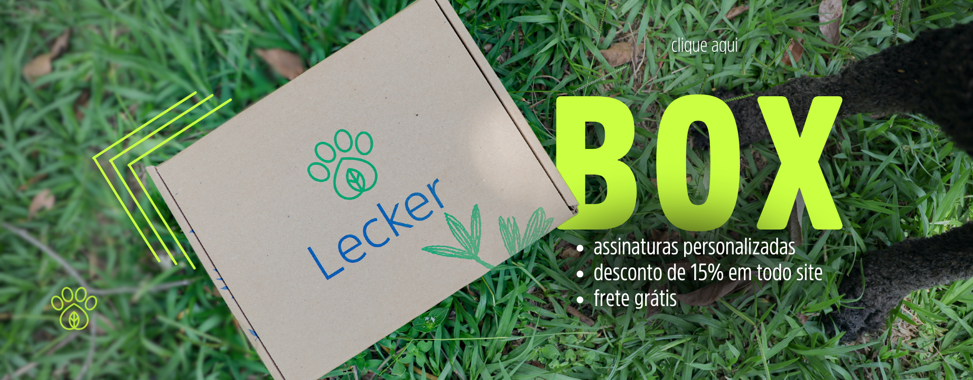 lecker box