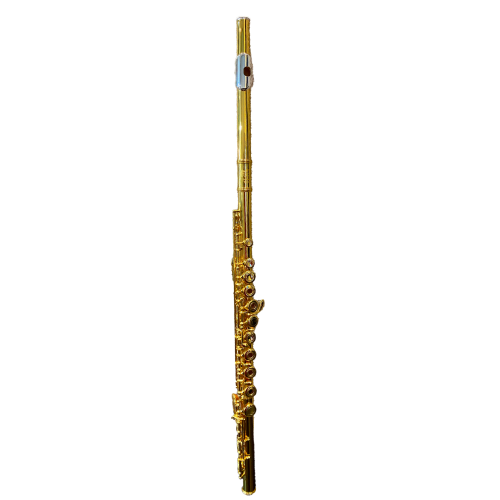 Comprar Saxofone Soprano Tokai TSS-200LN SIB Laqueado/Niquelado