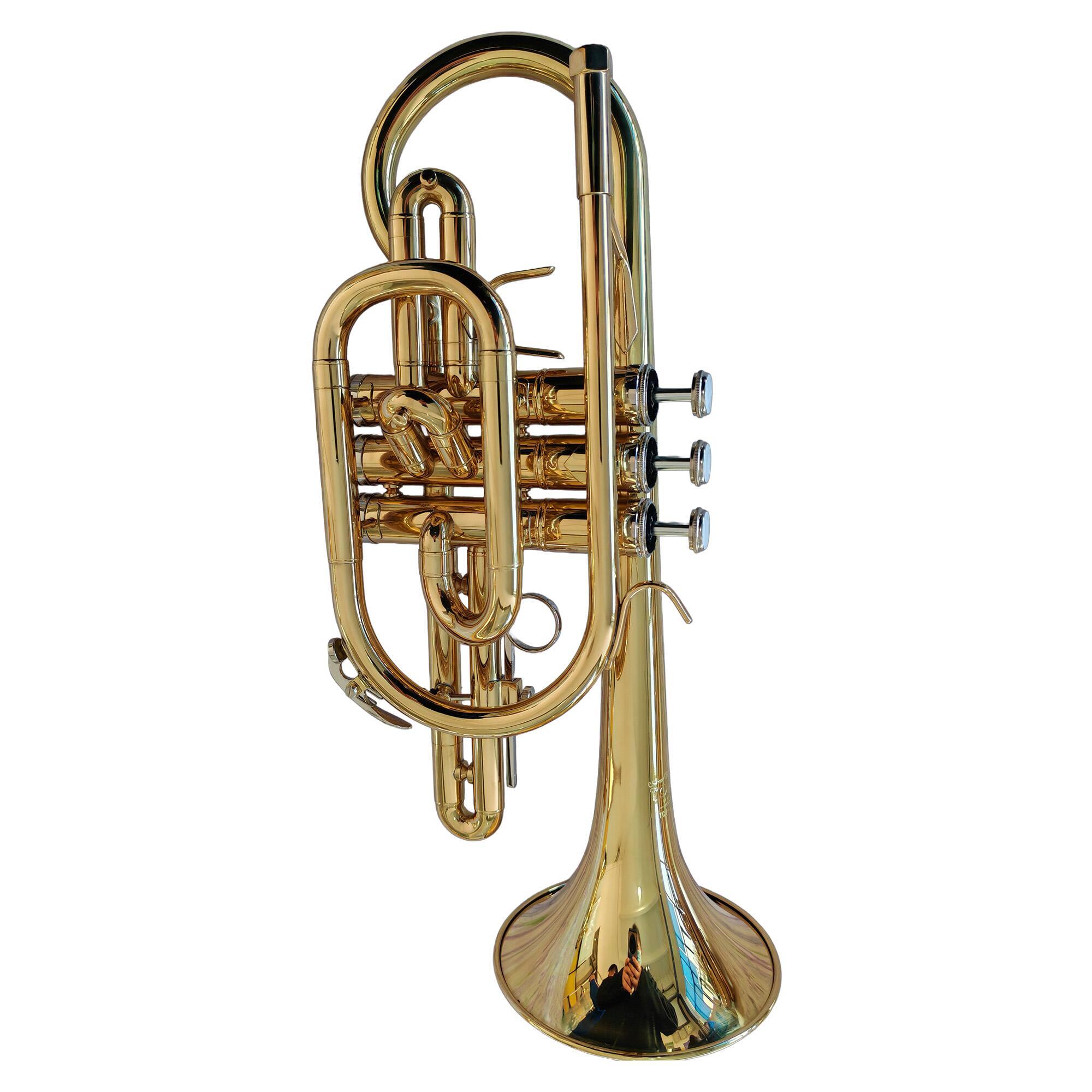 ボーン Comprar Cornet Sib Tokai Laqueado TCT-200L - a partir de R$2.796,29
