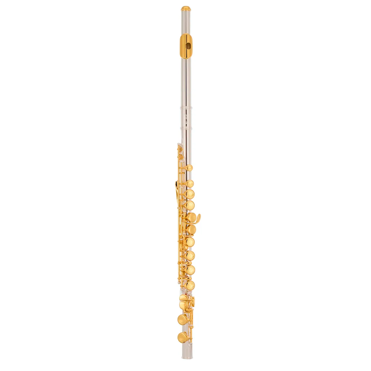 Comprar Flauta transversal DOURADA com CHAVES PRATAS TFL-200GP
