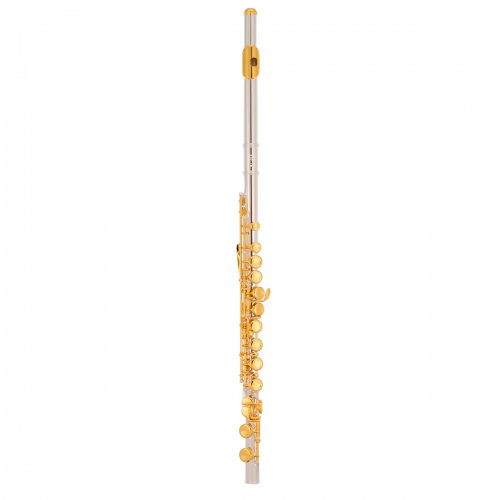 Comprar Flauta transversal DOURADA com CHAVES PRATAS TFL-200GP