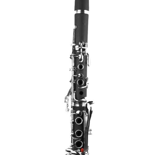 Sax Soprano Tokai TSS-300PG | Elegância e Qualidade - a partir de