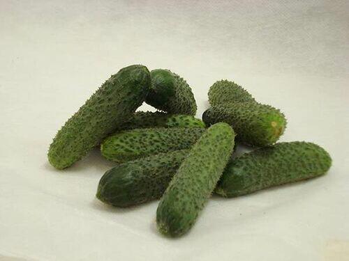 SEM.PEPINO KYBRIA HIB. 1MX-TOPSEED PREMIUM