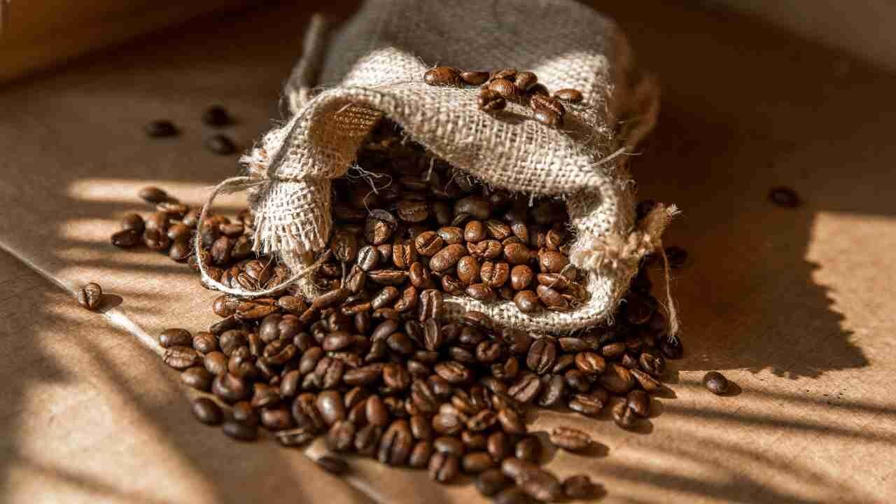 A Cafena e seus benefcios: Estmulos e Limites