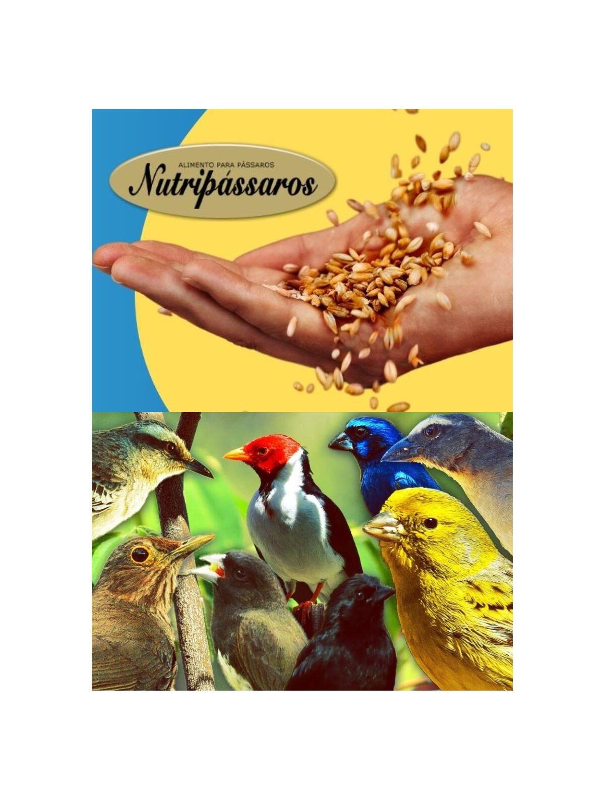Nutripássaros Mistura Papa de Ovo para Pássaros - 200g - a partir