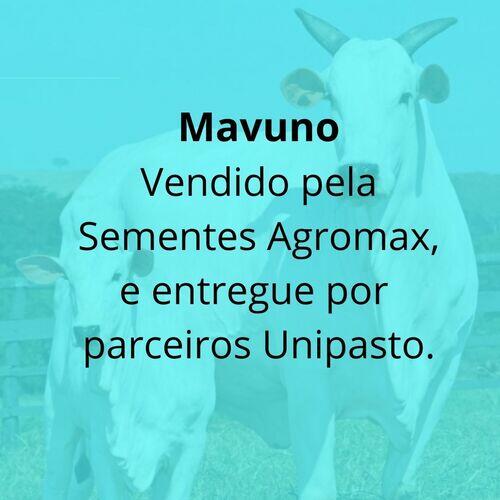 Mavuno (Brachiaria Hibrida Mavuno Peletizada 10Kg)