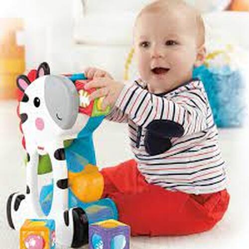 Comprar FP ZEBRA BLOCOS SURPRESA CGN63 MATTEL - R$159,99