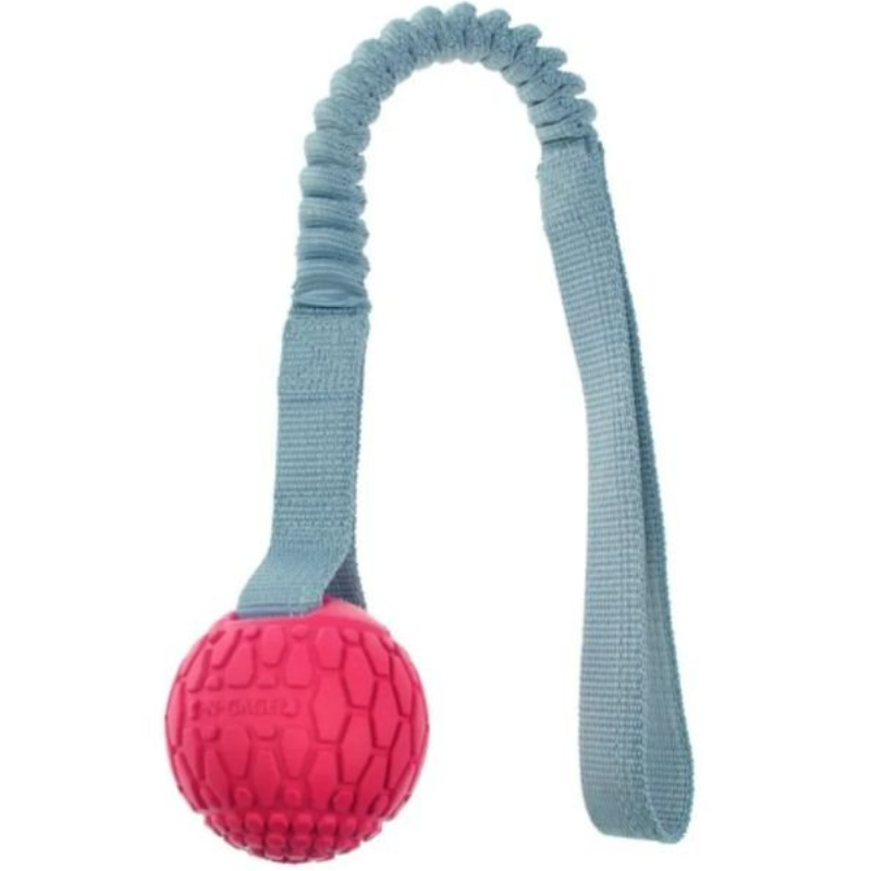 Brinquedo Para Pet Cachorro Mordedor Ngage Bungee Handler - Nmalls