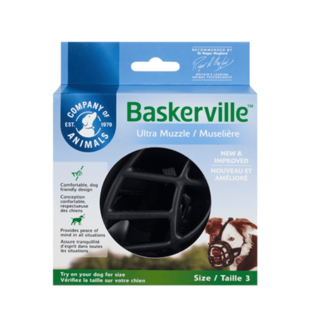 Madagaskar pornosini tomosha qiling Jinsiy aloqani tomosha qildi va onanizm qildi