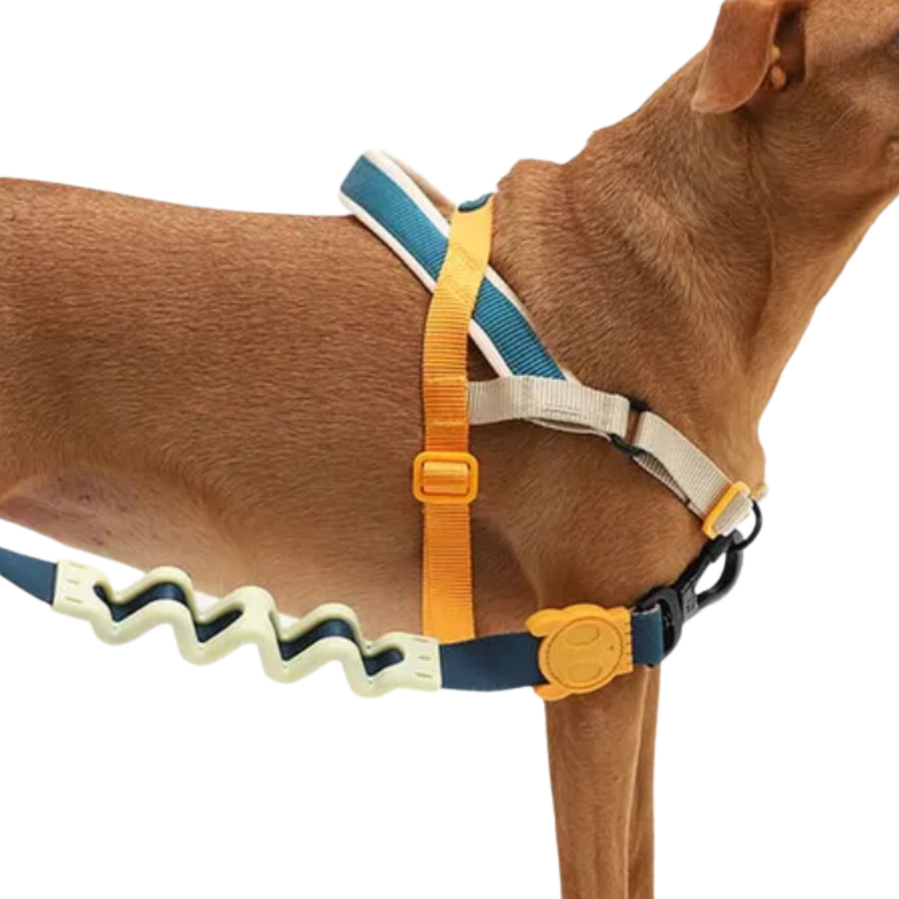 洋楽 Rup Dog Peitoral Antipuxão SofterWalk para Cachorros Reebok Trekk | Zee.Dog