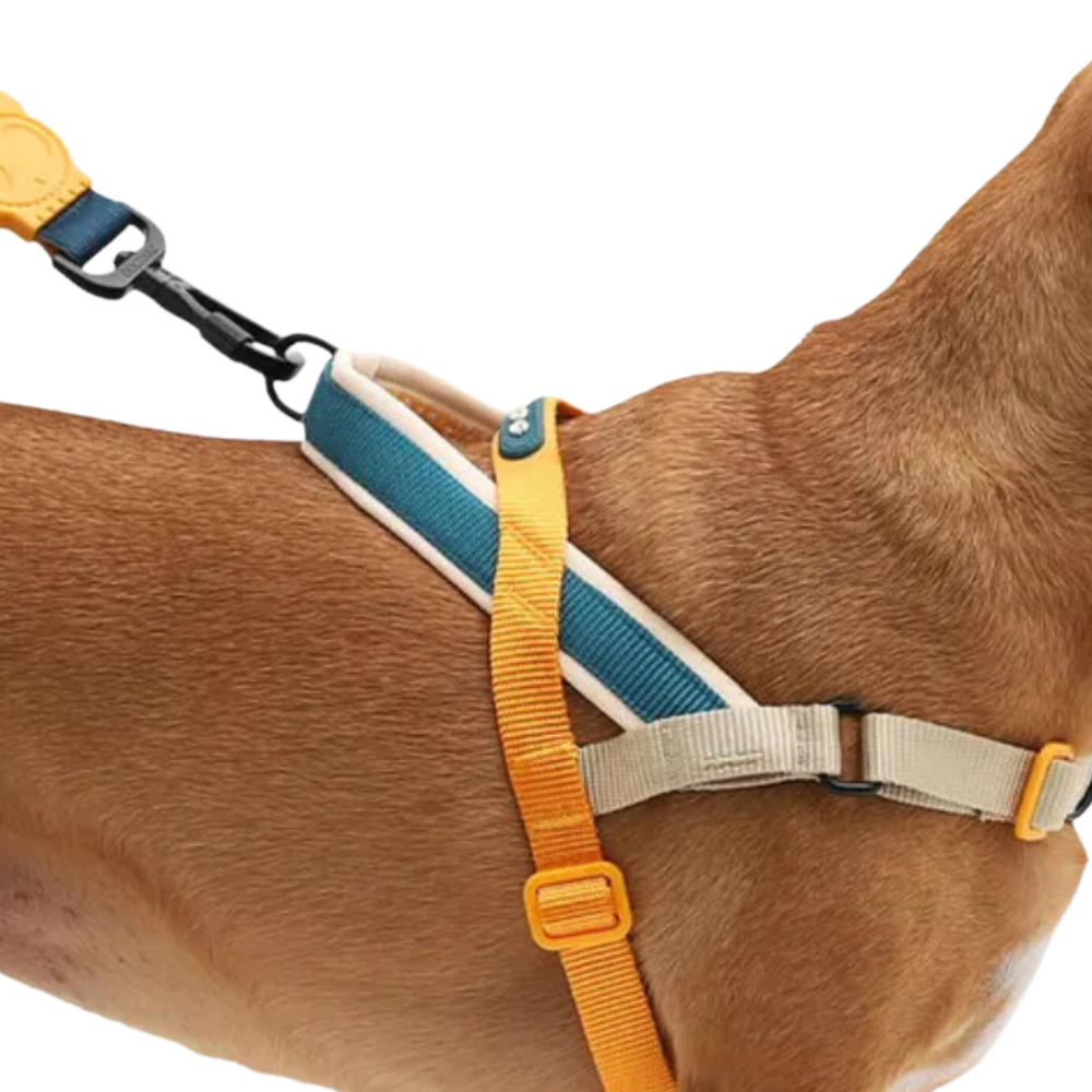 いぬ Peitoral Antipuxão SofterWalk para Cachorros FARM Rio Bossa Banana