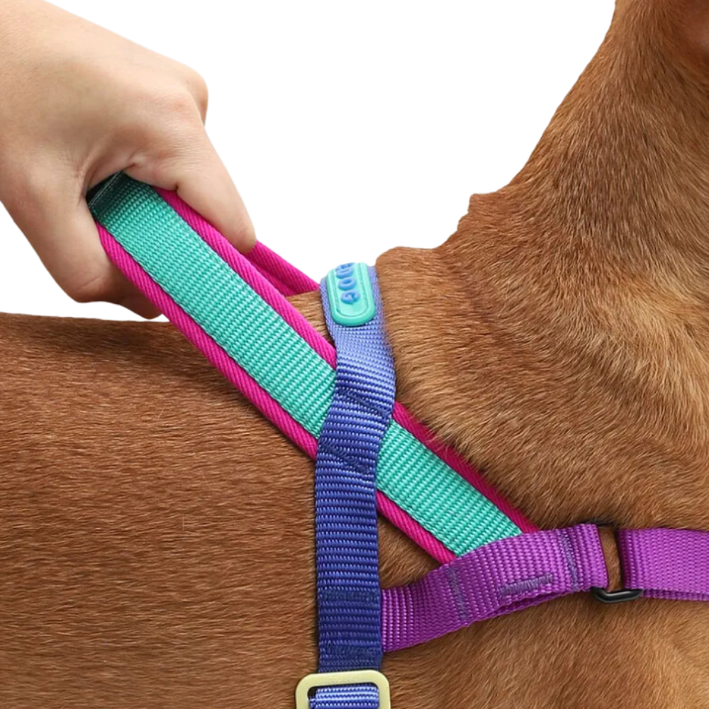 Peitoral Antipuxão Softer Walk Cachorros Shockwave - Nmalls - N