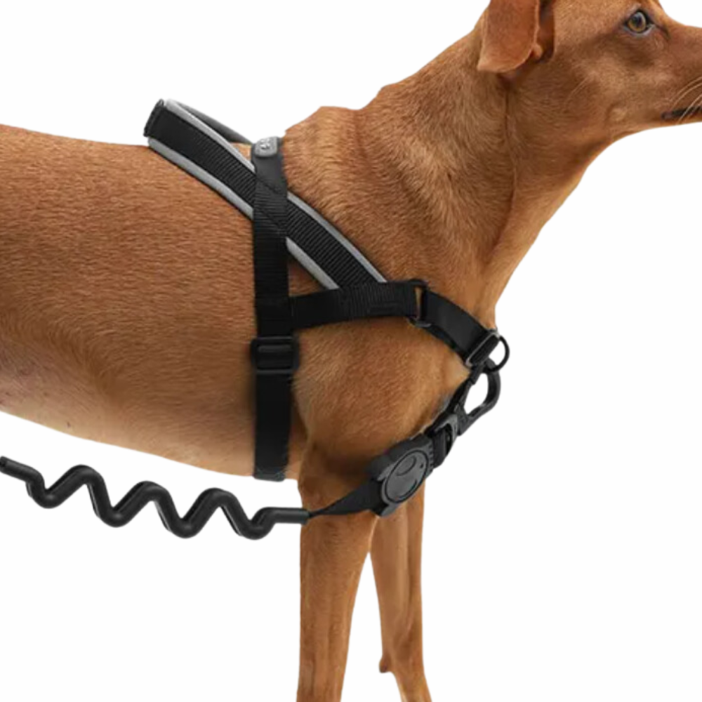 Peitoral Zee Dog Antipuxão SofterWalk para Cachorros Gotham - de R