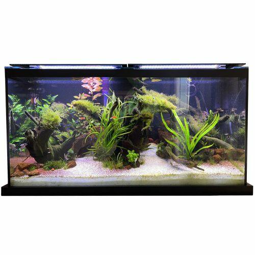 Sitemapcdatahttpnuwkniqoocomidee Deco Aquarium 200l
