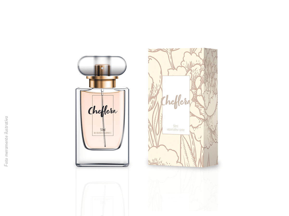 Cheflera - Deo Colônia