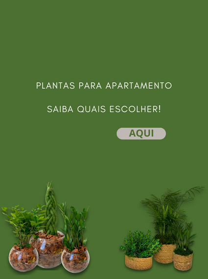 Plantas para apartamento