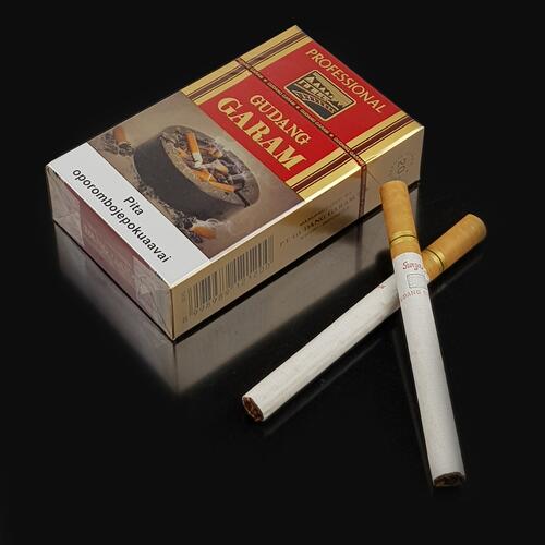 Cigarro Gudang Garam Professional Cravo - M (20)