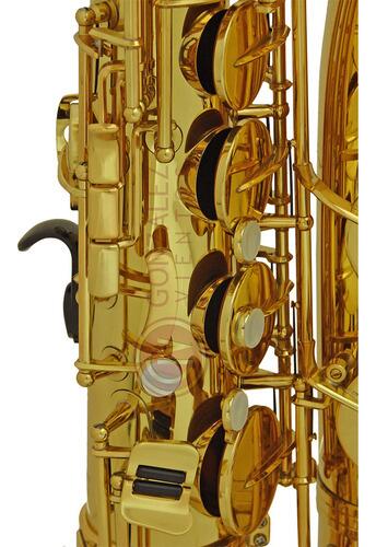 DUKE JAZZ 額装 Escudo Baixo Jazz Bass Shell Tortoise 3 Camadas Dolphin Nfe